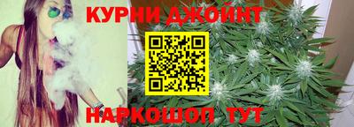мдпв Гусев