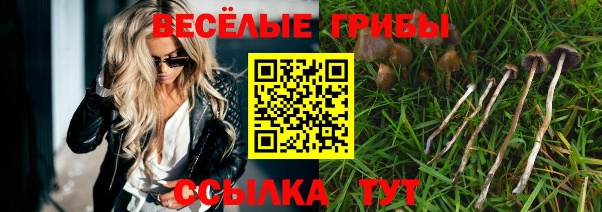 Псилоцибиновые грибы Cubensis  Вход с VPN  Псилоцибиновые грибы GOLDEN TEACHER  Мценск 